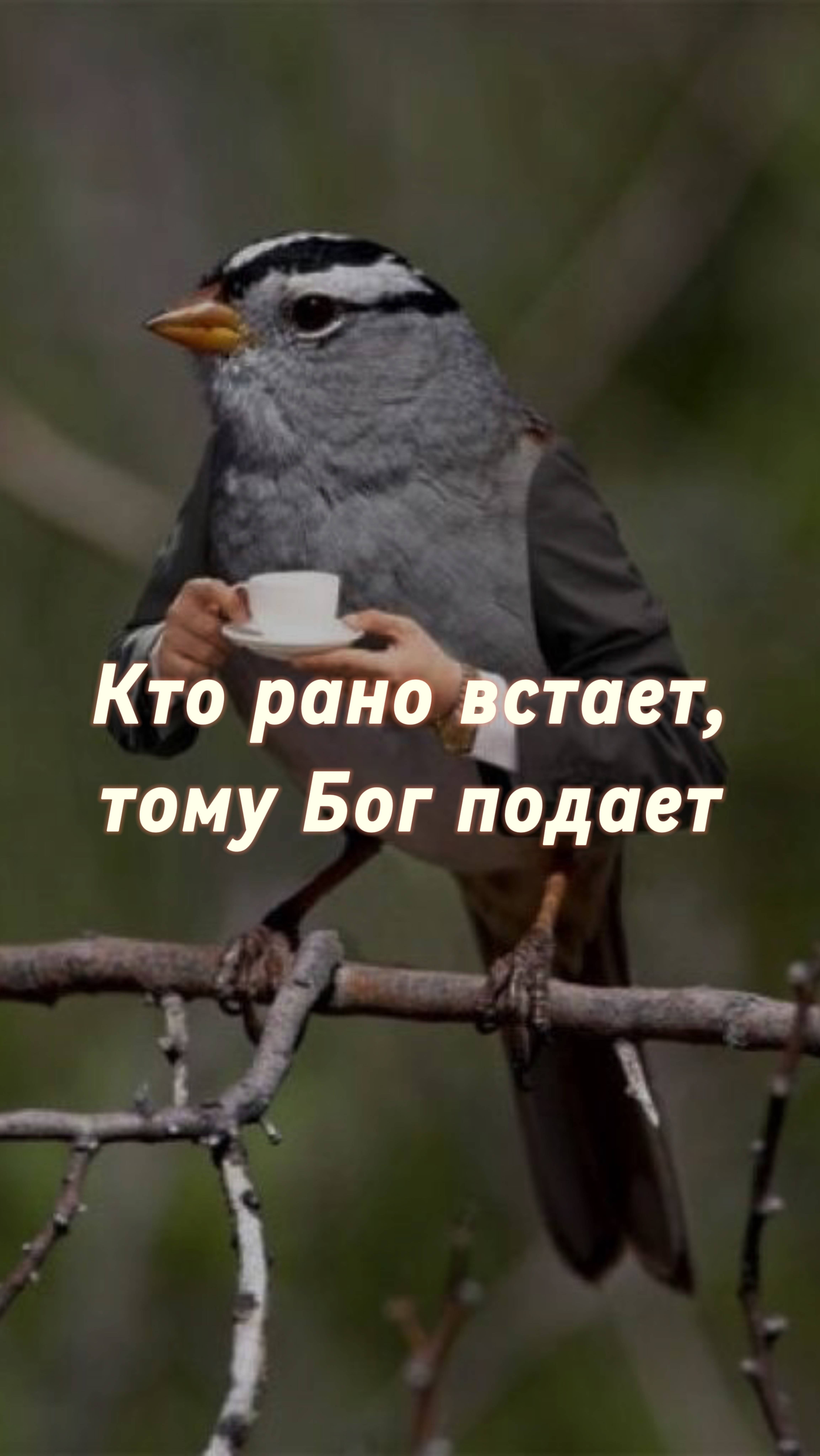 Кто рано встает, тому Бог подает