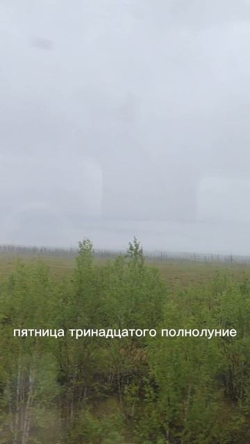 ребята я призывал Херобрина в Майнкрафте и он пришёл в наш мир