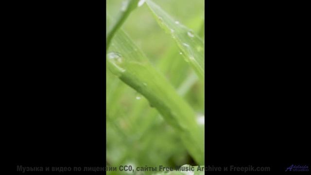 Когда музыка и природа создают что-то необъяснимое... - Amok -- chicachico -- 3 canciones sobre la m