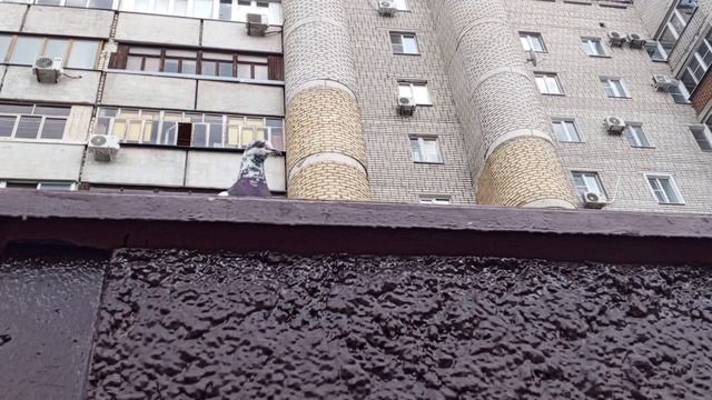1000008469.mp4