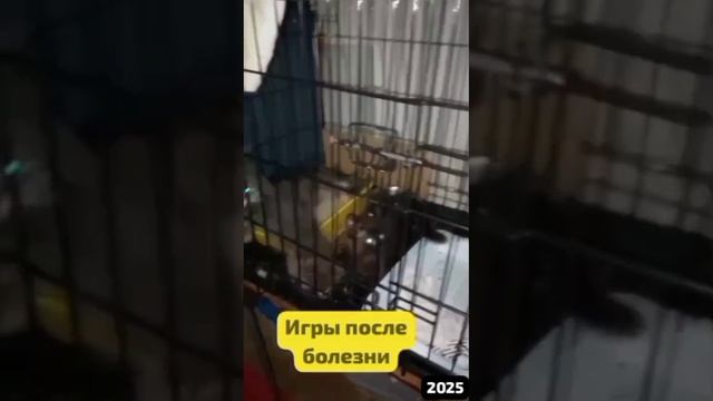 Болели многие. 
Шприцы ″ текли рекой″...лекарства заканчивались стремительно...но тут помогли ЛЮДИ.