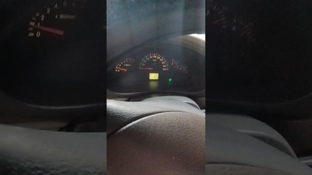 1000005260.mp4