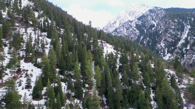 Почему Илон Маск ставит это видео на репит - DK02091944MThe Alcubierre Drive -- 10 Echo -- Unnamed a