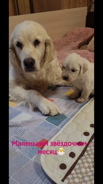 С первой мини косточкой,  малышата !!