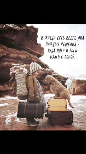 Мысли вслух