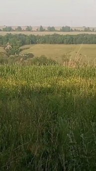 по дорогам едет