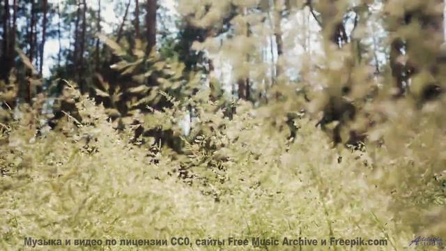Каждая нота идеально ложится на зелень и небо - Jah-River -- Ketsa -- Reflective Processes
