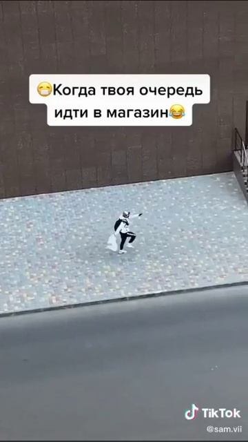 VID_20250614_142858_207.mp4