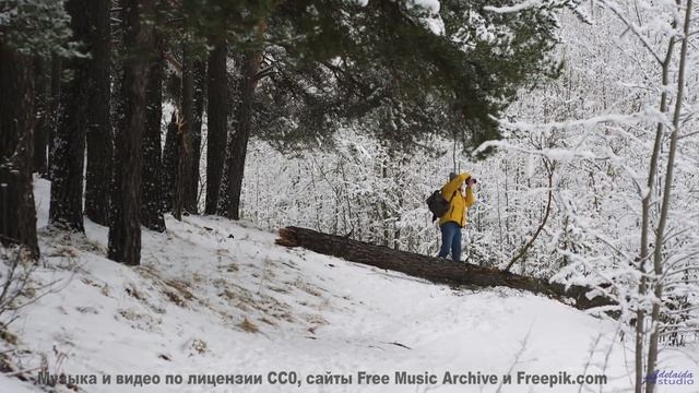 Под эту музыку природа дышит по-новому - Mysterious Footprints -- Nutmeg -- Almanac - Circle of Days