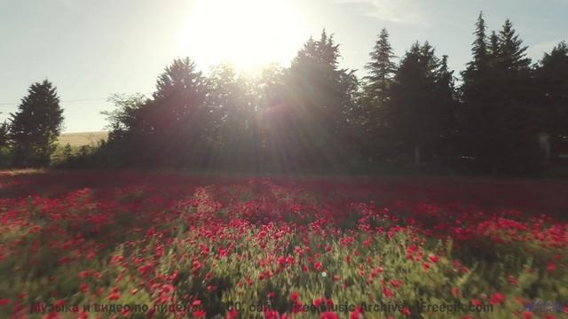 Это видео ЗАСТАВИТ тебя ПЛАКАТЬ! - You Loved Me Once -- HoliznaCC0 -- Lo-fi And Chill