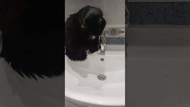 "Думаете, не открою?!"