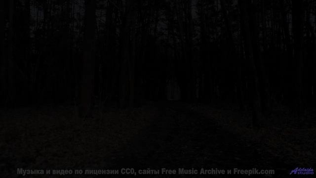 Этот трек - ураган эмоций! - Assmack -- Podington Bear -- Haplessly Happy (Box Set Disc 4)