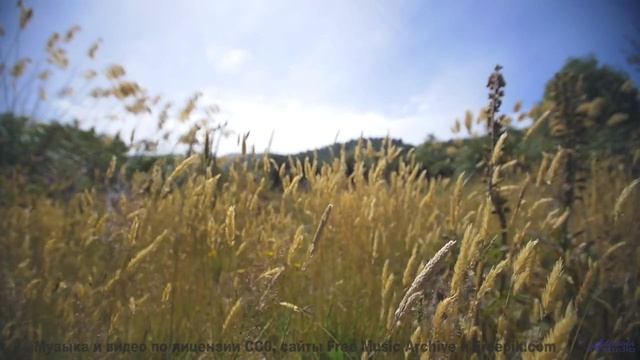 Сердце отдыхает под такие виды и ритмы - 20 Minute Meditation 8 -- HoliznaCC0 -- Space - Sleep - Med