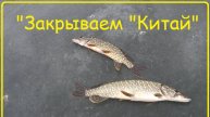 "Закрываем "Китай". Последний ролик от "Рыбное место 36".