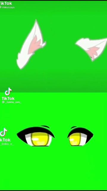 1000074242.mp4