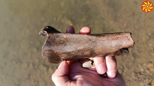 Ара фрагментов кости древних млекопитающих☺🔥🔥🔥