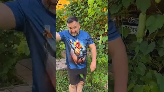 VID-20250613-WA0646