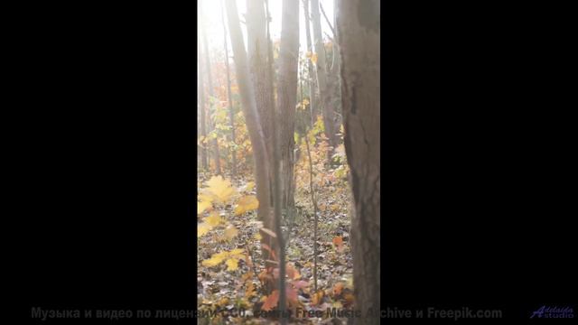 Закат, море и эта музыка - идеальный рецепт любви! - Tube TV -- HoliznaPATREON -- Never Forget