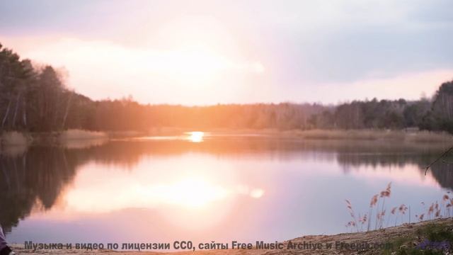 Дорога, звёзды и музыка, которая сводит вас с ума! - Families -- HoliznaCC0 -- Only In The Milky Way