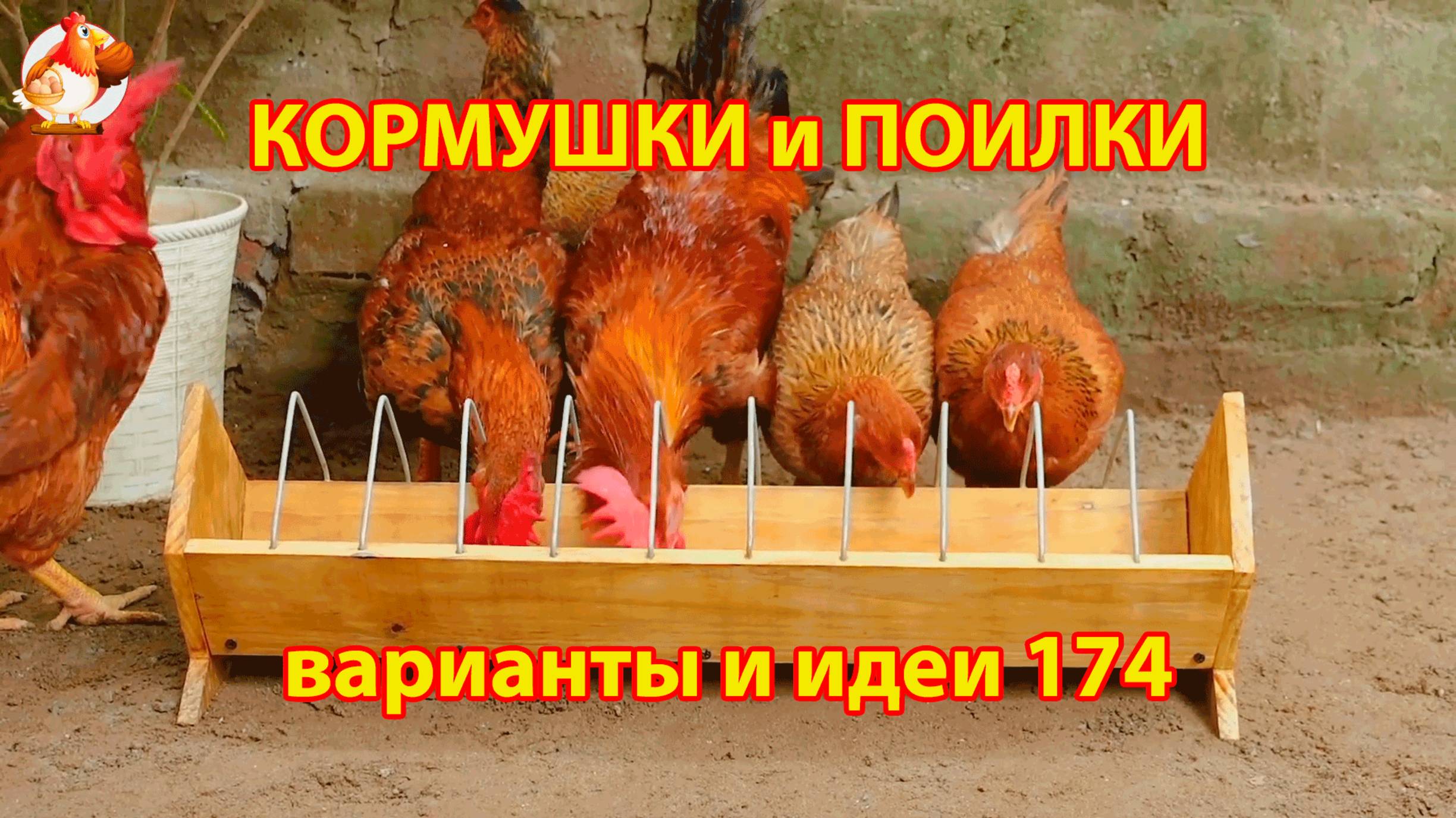 Кормушки и поилки для кур своими руками (174) 🪚✂️ Пошаговая инструкция как сделать 🐔 🐓❣️