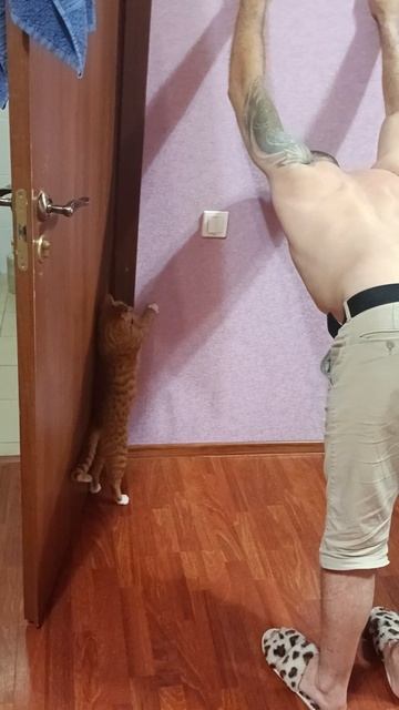 Разминка с Персиком