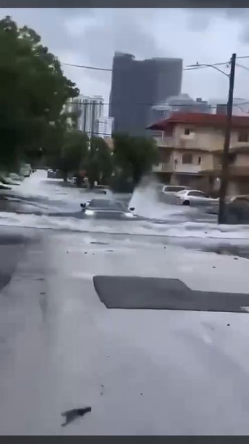 Видит цель - не видит препятствий
