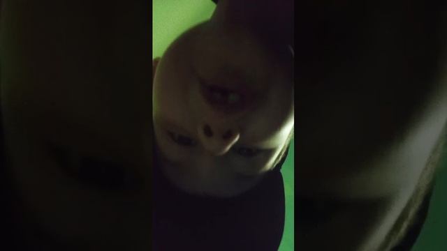 общаюсь