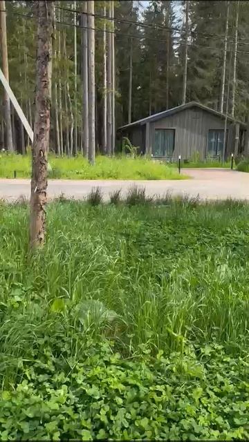 Обзор загородрого дома 261 рядом с Санкт-Петербургом