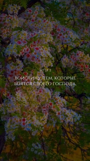 Сура 67 Аль-Мульк (12). Чтец: Мухаммад аль-Люхайдан