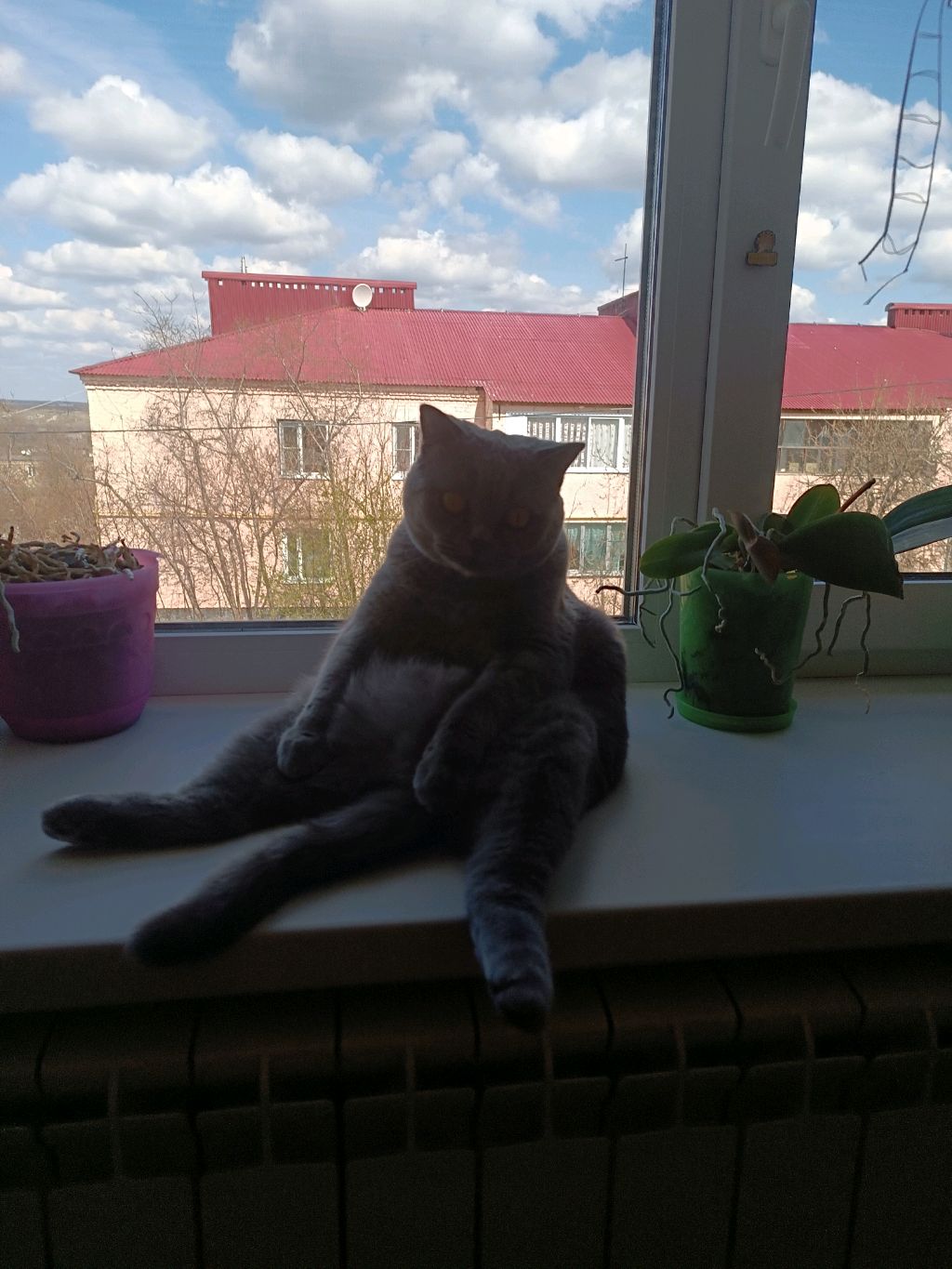 ❤БОНЮШКА❤