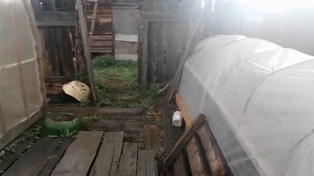 деревня, гроза