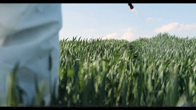Музыка, которая превращает лес в ваше личное убежище! - Four Twenty-Two -- Ayla Nereo -- Play Me a T