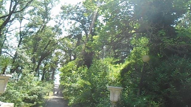 Туапсе пенсионат весна