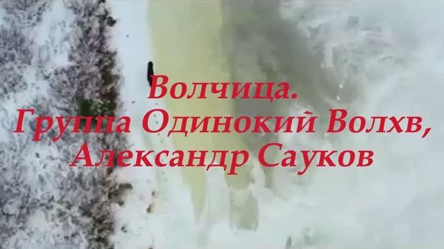 Волчица ( Премьера клипа 2024 г.)