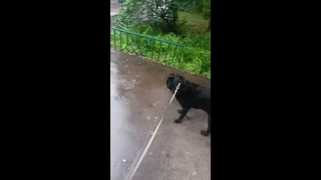 Фишер затмение 4 серия