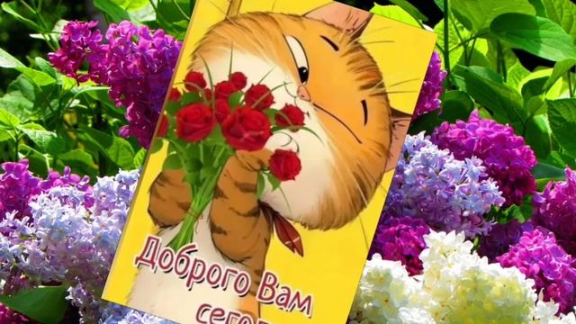 Пусть Утро будет лёгким, а День прекрасным!!!
