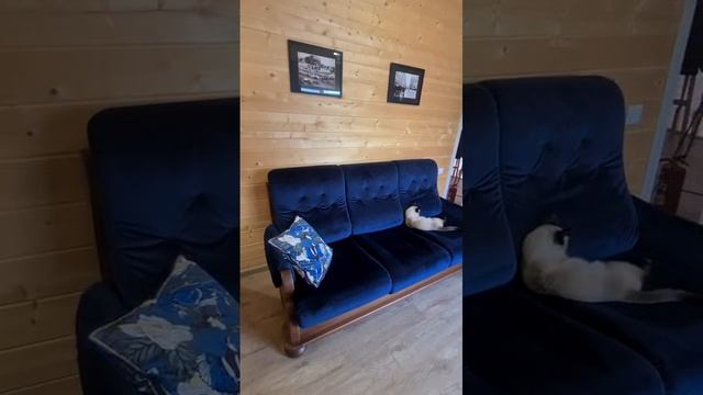 Кабинет от Авангард