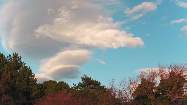 Леса открываются вместе с каждой новой нотой - Little Bear - long (ID 780) -- Lobo Loco -- Round the