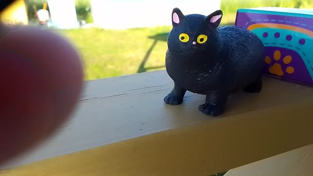 Кот на даче🐈⬛