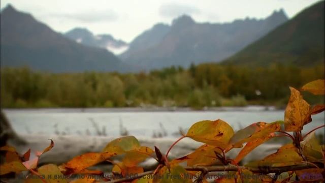 Песни для тех, кто измеряет расстояния не километрами, а эмоциями - When We Were Young -- Derek Cleg