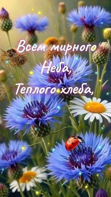 Доброе утро!