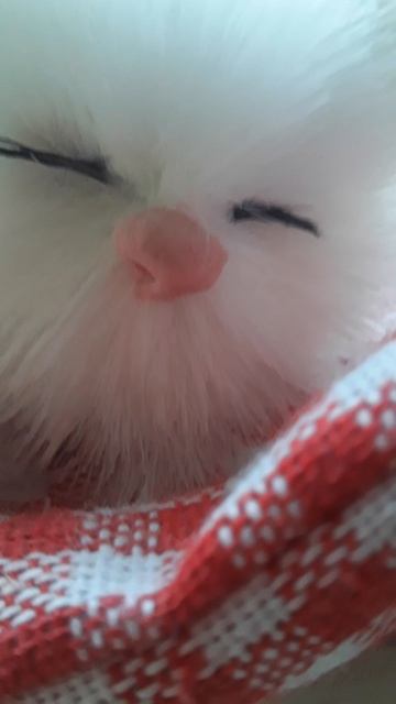 Поздно поздно поздно ночью 🌜😭🔗