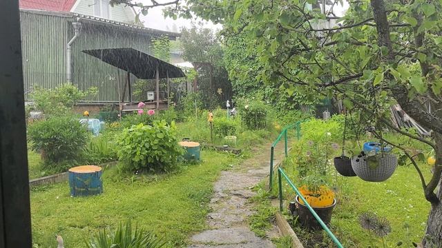 дождик сильный на даче ☔