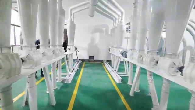 1000002331.mp4