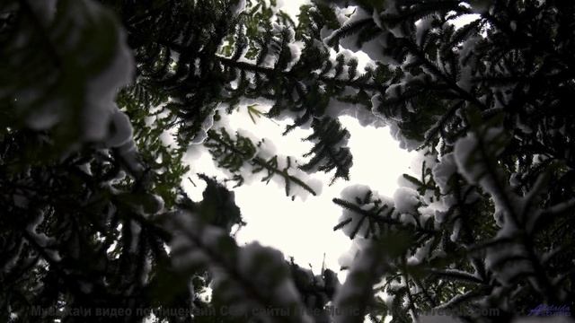 Этот клип даёт ощущение полной свободы - Youre Magic -- Soft and Furious -- Bae