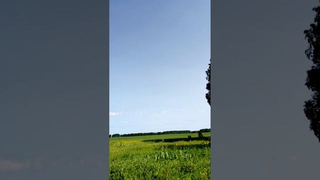Идеальное утро в Деревне: пение птиц и тишина природы 🌅🦜