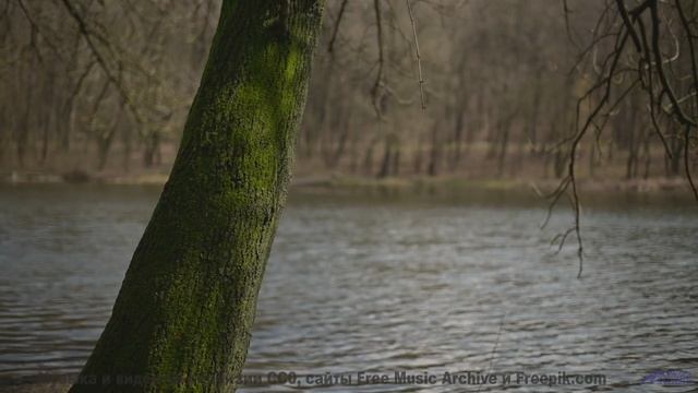 Песня, которая звучит громче, когда поёшь её хриплым утром в палатке - Rising Hero -- HoliznaCC0 --