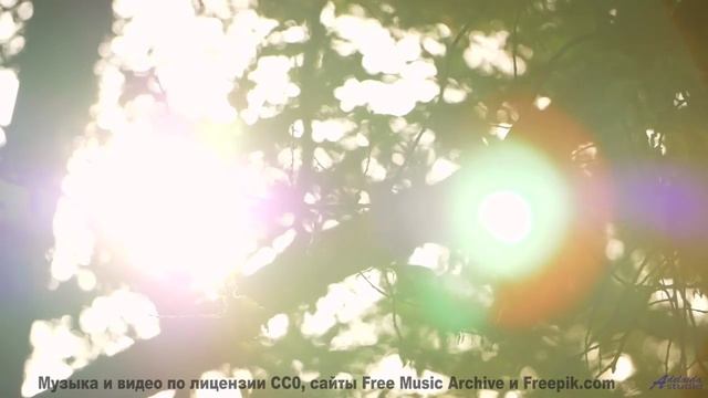 Это видео МЕНЯЕТ сознание! - Walks of Life -- Nihilore -- Broken Parts