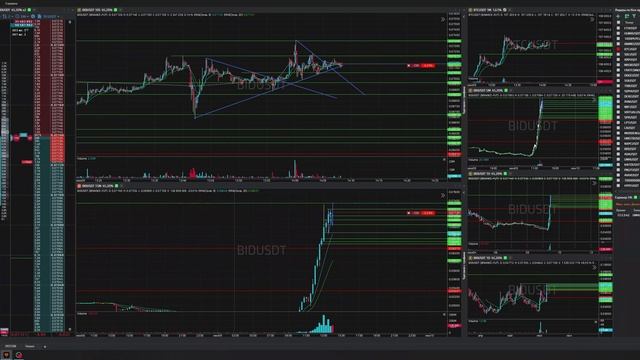 16-Bidusdt-Short-Stoploss-09-06-2025-14-08-12