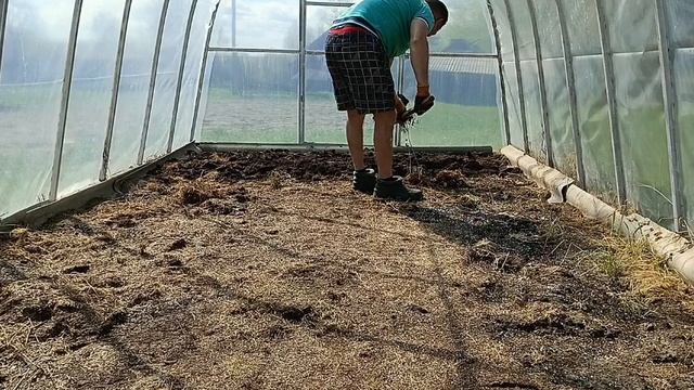 pro.hozyaistvo Теплица за 1 день: быстрая подготовка к новому урожаю.